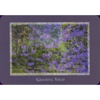 Gaia’s Vision Oracle kortos Schiffer Publishing